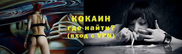 дмт Касимов