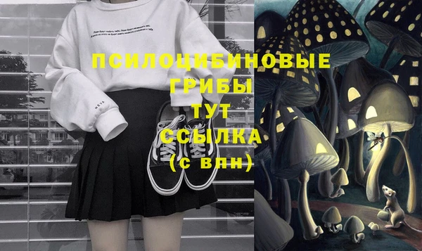 дмт Касимов