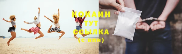 дмт Касимов
