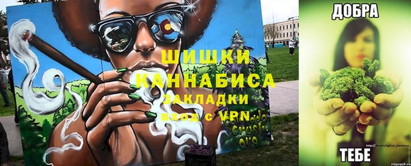 дмт Касимов