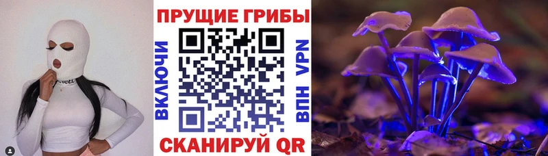 Галлюциногенные грибы Cubensis Купить закладки Зверево
