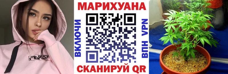 Бошки Шишки план  Купить где  Зверево 